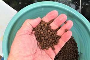 EROLDOGAN_feed pellets_300
