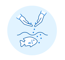 Feeding fish graphic