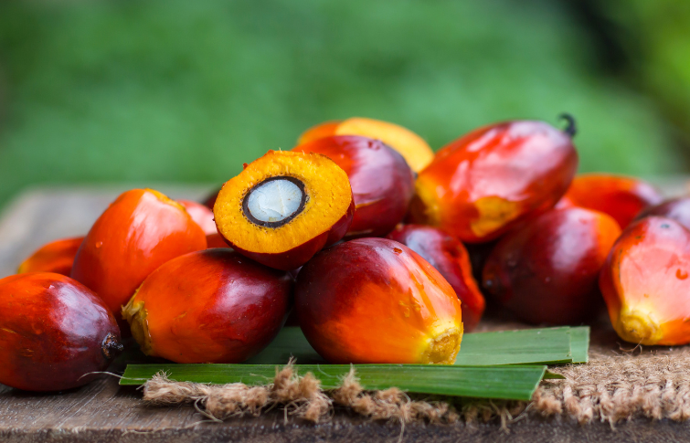 Palm Oil