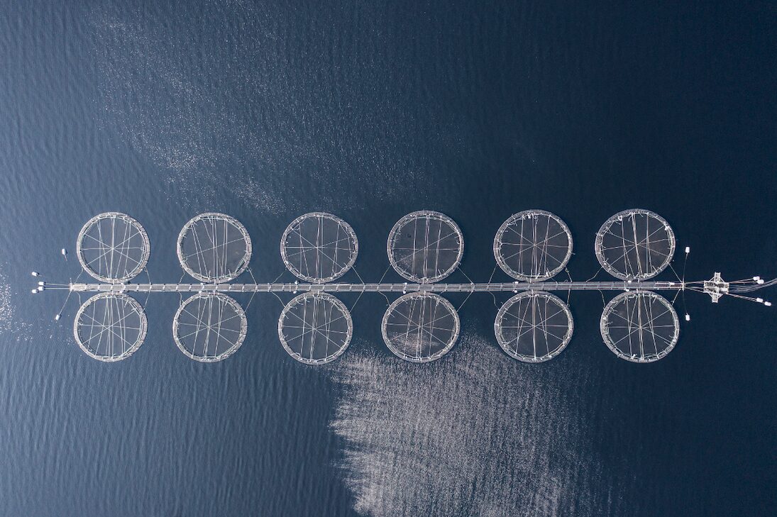 Salmon Farm