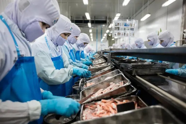 Thai Union Shrimp Processing