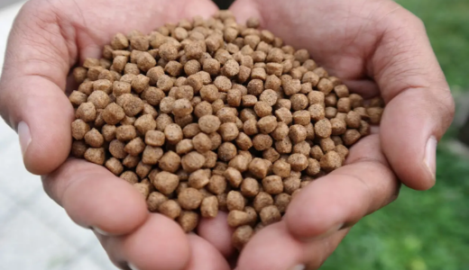 feed standard update