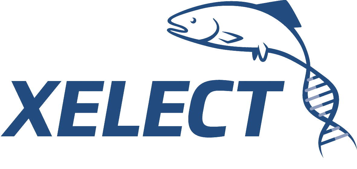 xelect