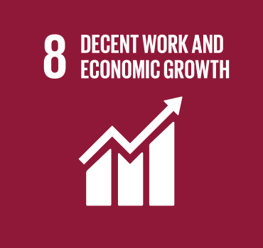 Goal 8 - Decent work and economic growth