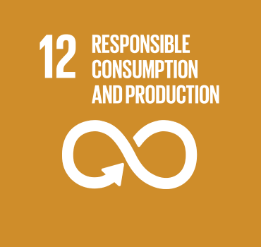 Goal 12 - Responsible consumption and production